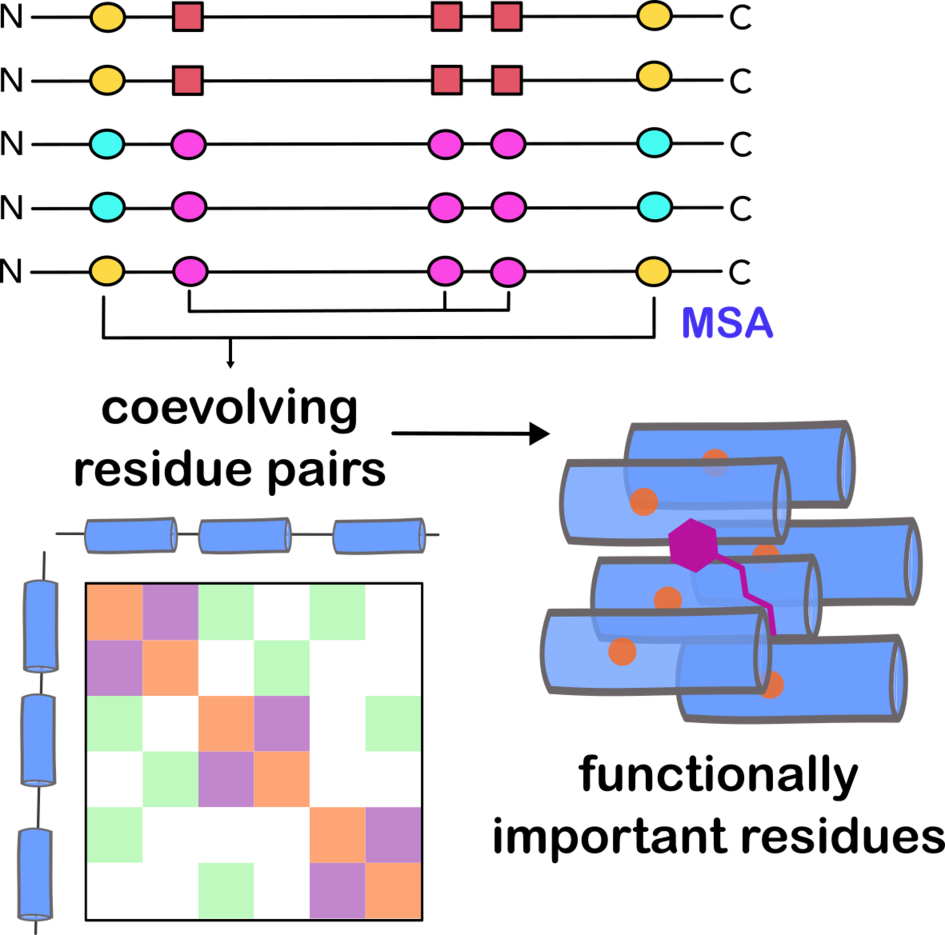 WP1